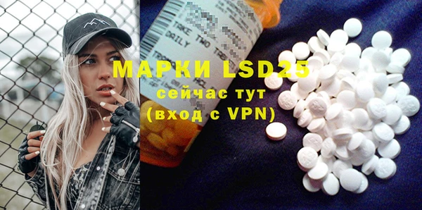 стафф Нефтегорск