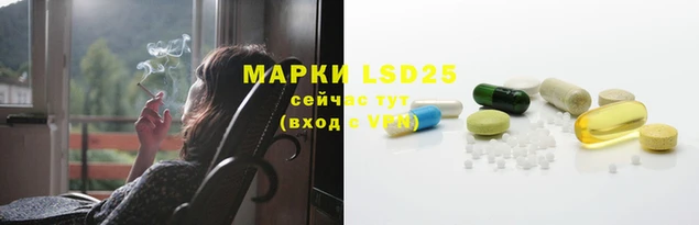 стаф Новокубанск