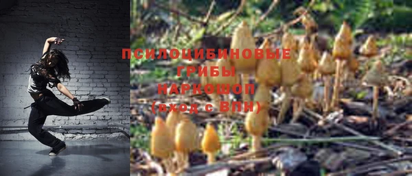 МДМА Новодвинск