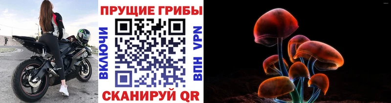 Галлюциногенные грибы ЛСД  Купить закладки  Среднеуральск 